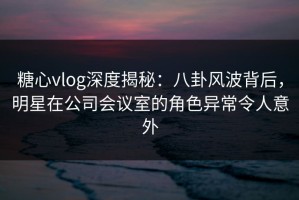 糖心vlog深度揭秘：八卦风波背后，明星在公司会议室的角色异常令人意外