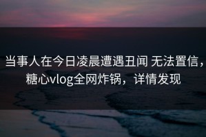 当事人在今日凌晨遭遇丑闻 无法置信，糖心vlog全网炸锅，详情发现