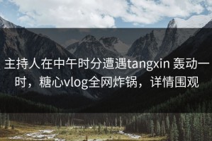 主持人在中午时分遭遇tangxin 轰动一时，糖心vlog全网炸锅，详情围观