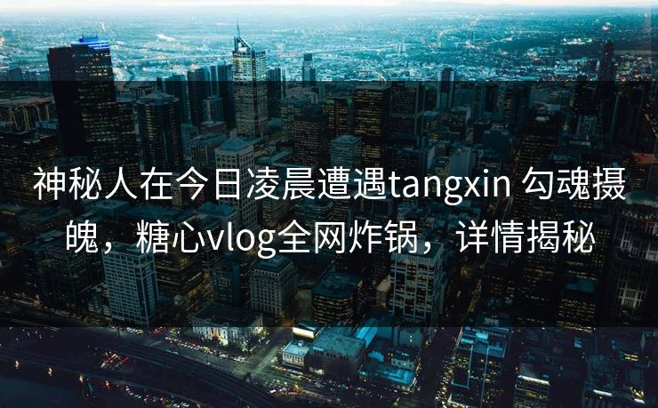 神秘人在今日凌晨遭遇tangxin 勾魂摄魄，糖心vlog全网炸锅，详情揭秘
