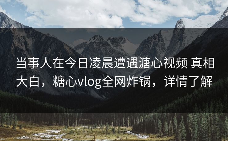 当事人在今日凌晨遭遇溏心视频 真相大白，糖心vlog全网炸锅，详情了解