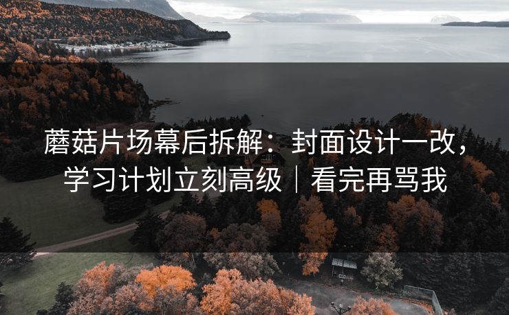 蘑菇片场幕后拆解：封面设计一改，学习计划立刻高级｜看完再骂我
